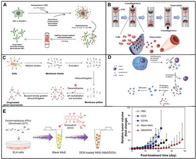 Biomimetic Exosomes: A New Generation of Drug Delivery System